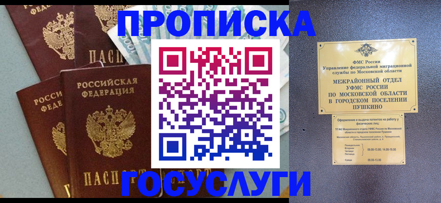 прописка гарантия в Лыткарино